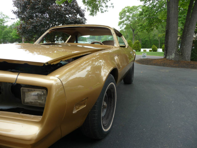 1978 Pontiac Firebird - photo 2