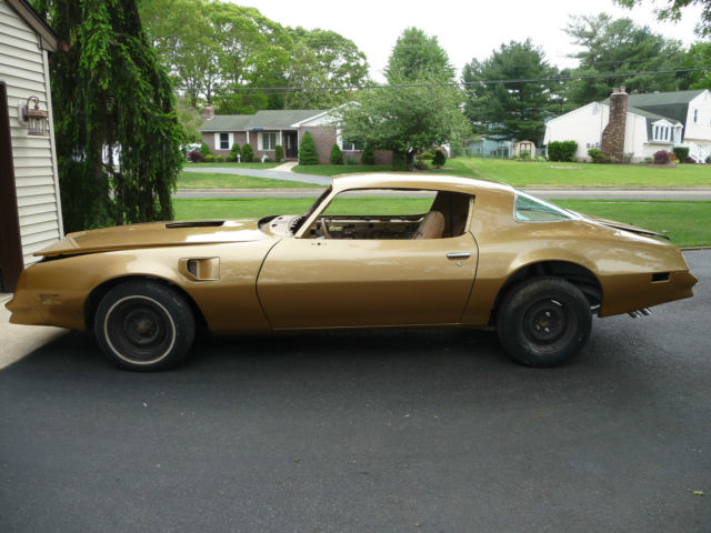 1978 Pontiac Firebird - photo 3