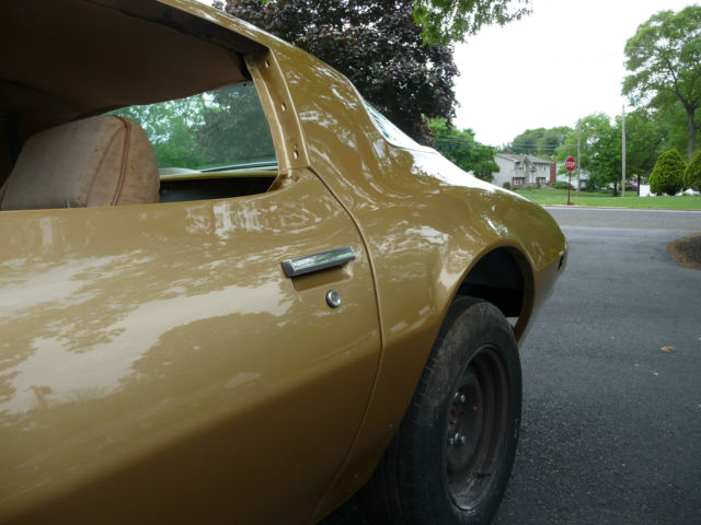 1978 Pontiac Firebird - photo 5