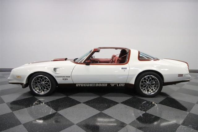 1978 Pontiac Firebird Trans Am DKM Macho - photo 10