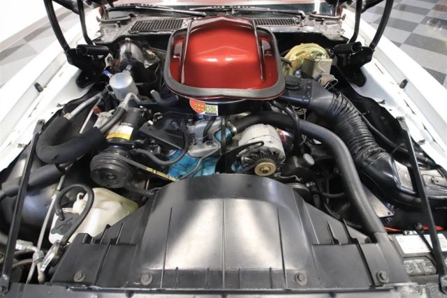 1978 Pontiac Firebird Trans Am DKM Macho - photo 3
