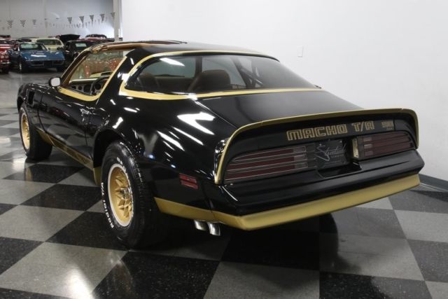 1978 Pontiac Firebird Trans Am DKM Macho - photo 11