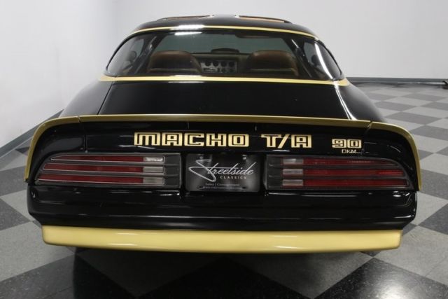 1978 Pontiac Firebird Trans Am DKM Macho - photo 12