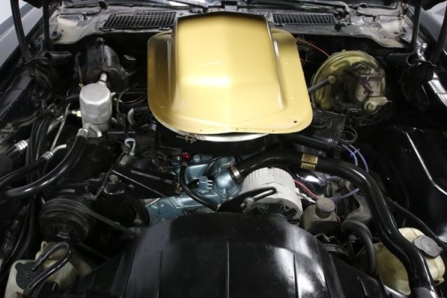 1978 Pontiac Firebird Trans Am DKM Macho - photo 4