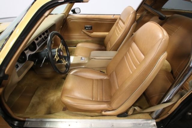 1978 Pontiac Firebird Trans Am DKM Macho - photo 5