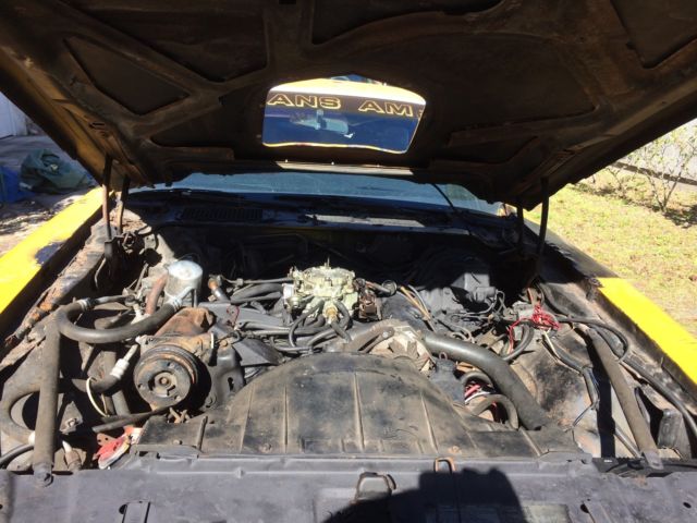 1978 Pontiac Trans Am - photo 8