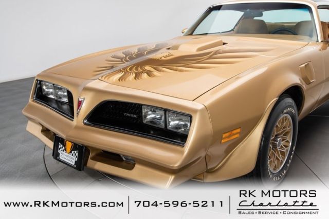 1978 Pontiac Firebird Trans Am - photo 11