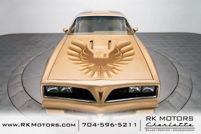 1978 Pontiac Firebird Trans Am - photo 13