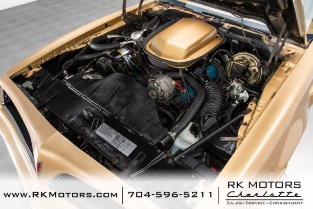 1978 Pontiac Firebird Trans Am - photo 4