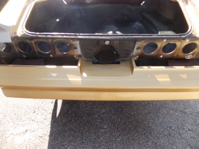 1978 Pontiac Trans Am Coupe - photo 8