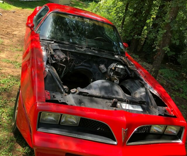 1978 Pontiac Trans Am - photo 13