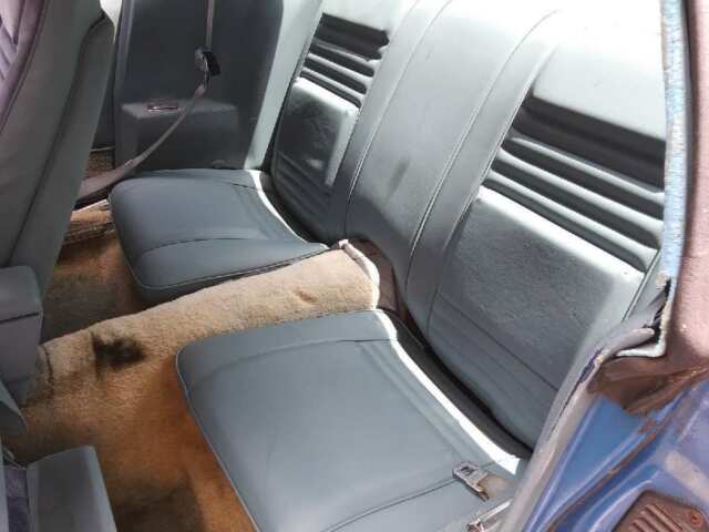 1978 Pontiac Trans Am Trans Am - photo 13