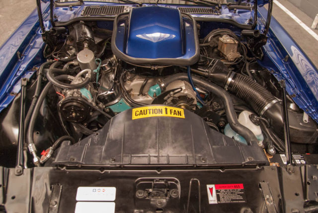1978 Pontiac Trans Am - photo 9