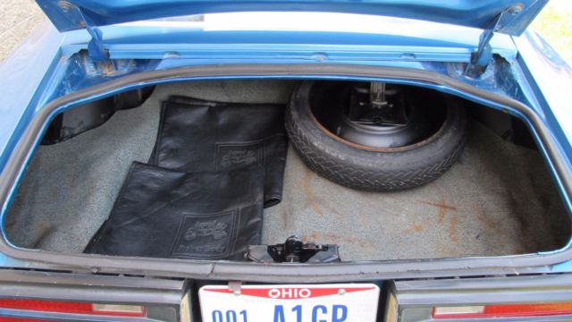 1978 Pontiac Firebird - photo 12