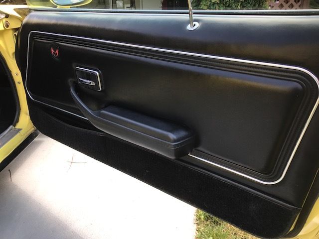 1978 Pontiac Firebird Formula Coupe 2-Door - photo 11