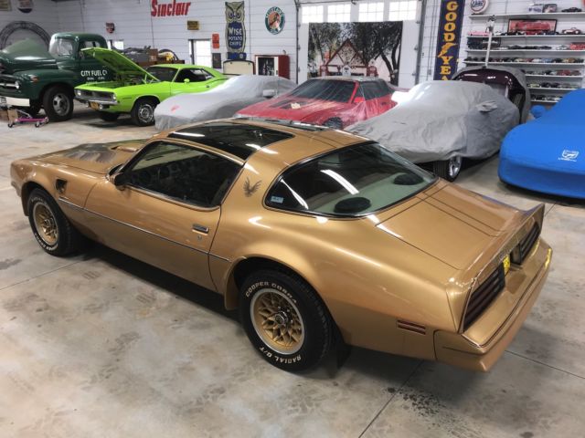 1978 Pontiac Trans Am Gold SE - photo 7