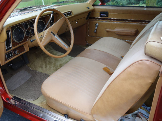 1978 Pontiac Phoenix custom - photo 8