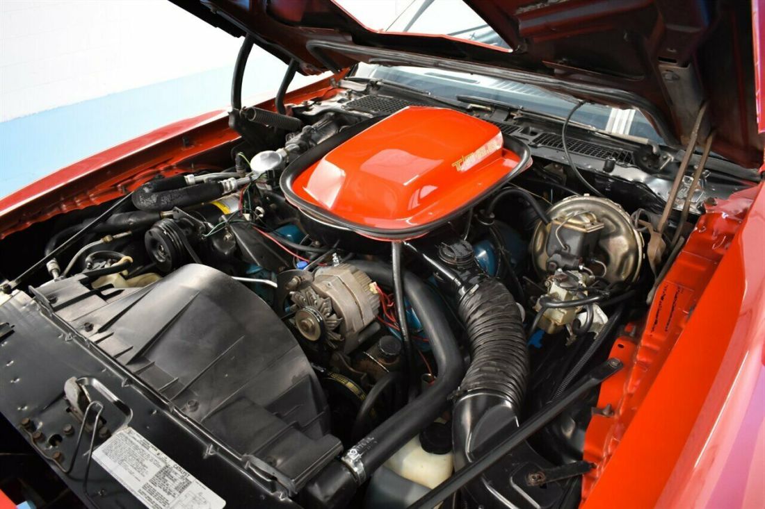 1978 Pontiac Trans Am - photo 4