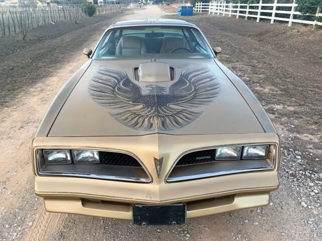 1978 Pontiac Trans Am Y88 Trans AM, Texas 1-Owner, T-Tops, 4 Speed, NO RESERVE - photo 11
