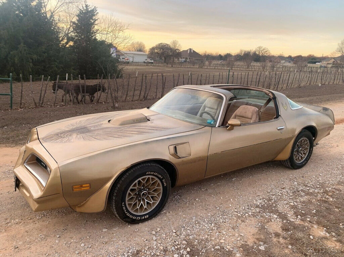 1978 Pontiac Trans Am Y88 Trans AM, Texas 1-Owner, T-Tops, 4 Speed, NO RESERVE - photo 4