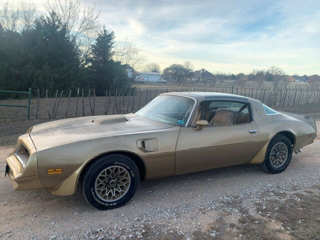 1978 Pontiac Trans Am Y88 Trans AM, Texas 1-Owner, T-Tops, 4 Speed, NO RESERVE - photo 6