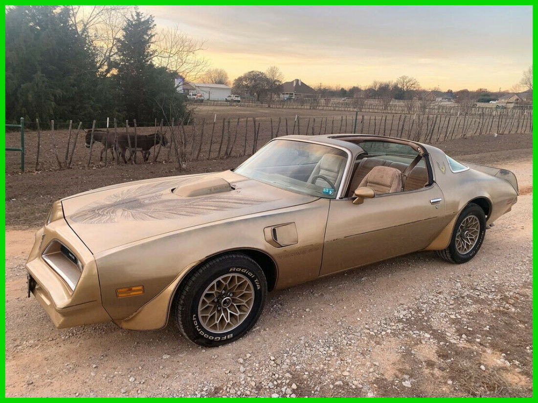 1978 Pontiac Trans AM, 4 Speed. 1-Owner Survivor, Y88, Pont 400 1978 Pontiac Trans Am Y88 Trans AM, Texas 1-Owner, T-Tops, 4 Speed, 400 Engine