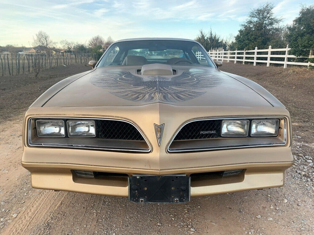 1978 Pontiac Trans Am Y88 Trans AM, Texas 1-Owner, T-Tops, 4 Speed, 400 Engine - photo 12
