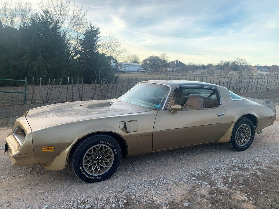 1978 Pontiac Trans Am Y88 Trans AM, Texas 1-Owner, T-Tops, 4 Speed, 400 Engine - photo 6