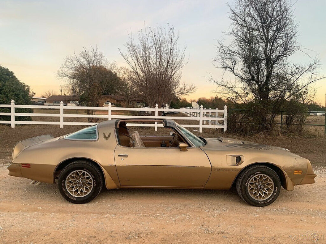 1978 Pontiac Trans Am Y88 Trans AM, Texas 1-Owner, T-Tops, 4 Speed, 400 Engine - photo 7