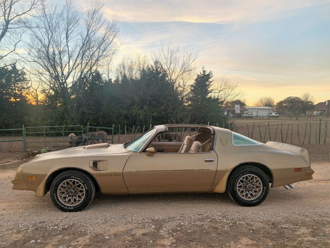 1978 Pontiac Trans Am Y88 Trans AM, Texas 1-Owner, T-Tops, 4 Speed, 400 Engine - photo 8