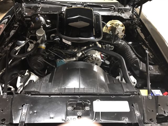 1978 Pontiac Firebird - photo 5