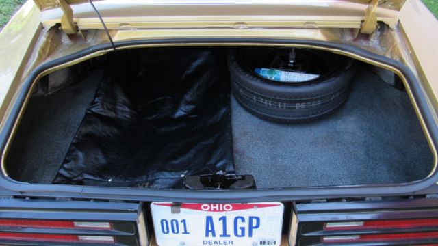 1978 Pontiac Trans Am TA - photo 11
