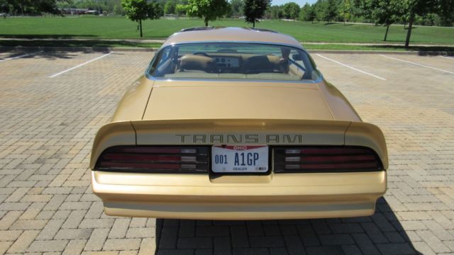1978 Pontiac Trans Am TA - photo 8