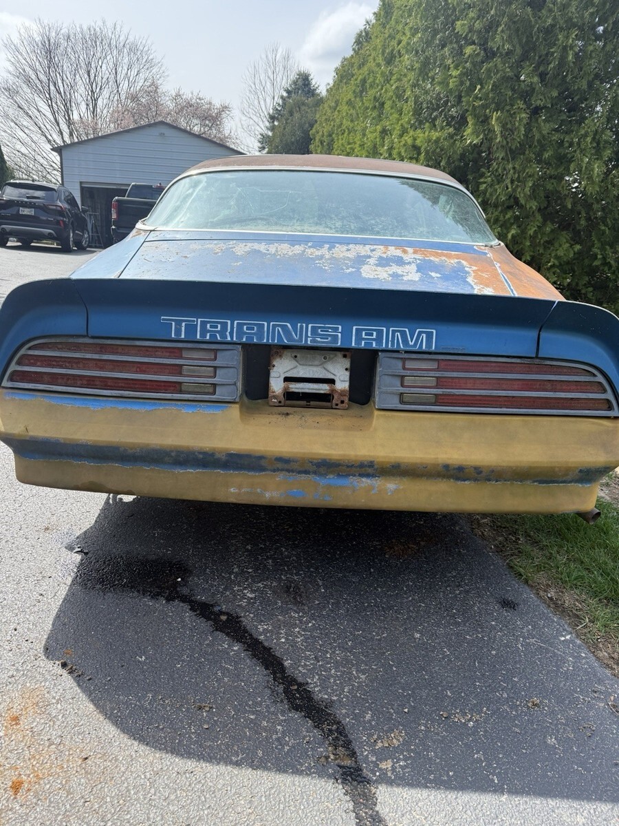 1978 Pontiac Trans Am - photo 10
