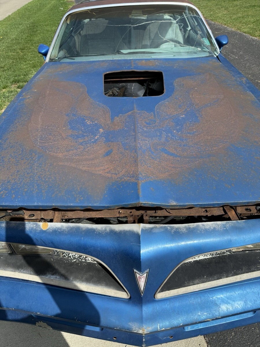 1978 Pontiac Trans Am - photo 7