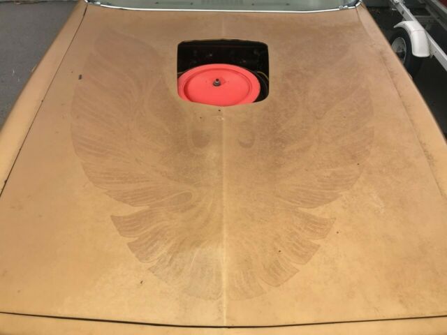 1978 Pontiac Trans Am - photo 10