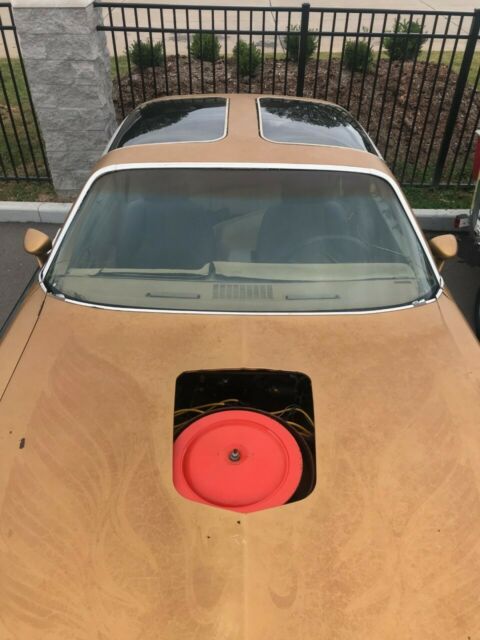 1978 Pontiac Trans Am - photo 11