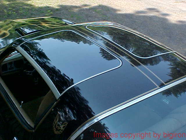 1978 Pontiac Trans Am - photo 10