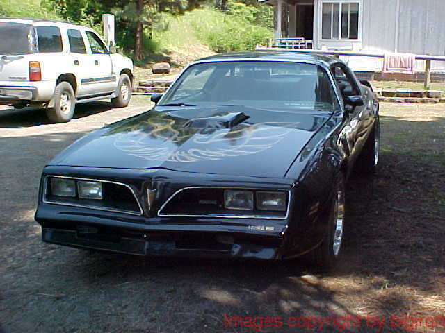 1978 Pontiac Trans Am - photo 7