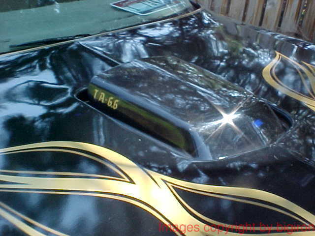 1978 Pontiac Trans Am - photo 9
