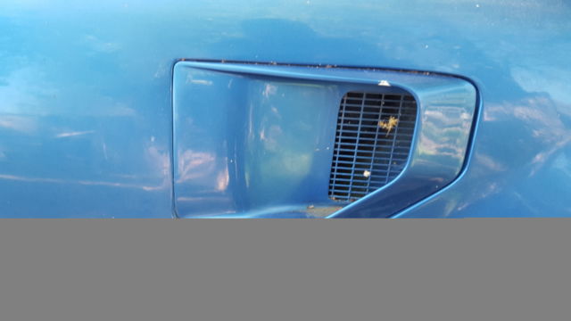 1978 Pontiac Trans Am - photo 10
