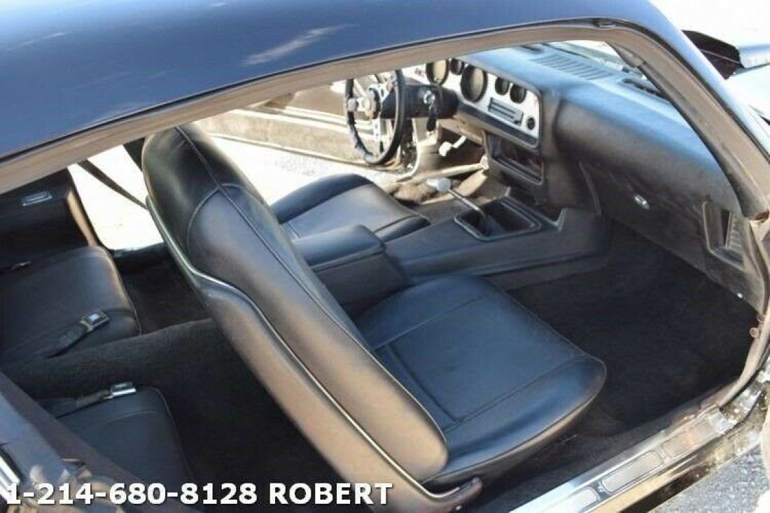 1978 Pontiac Trans Am - photo 13
