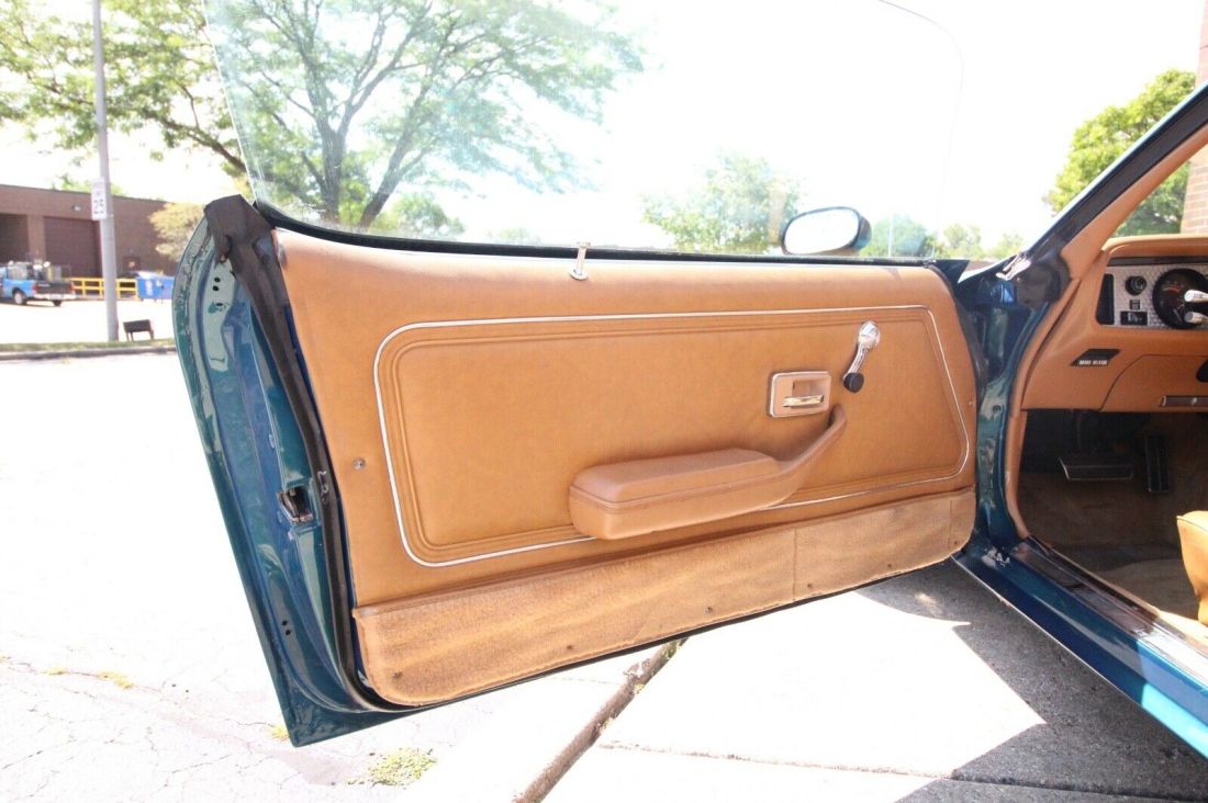 1978 Pontiac Trans Am - 450HP - photo 13