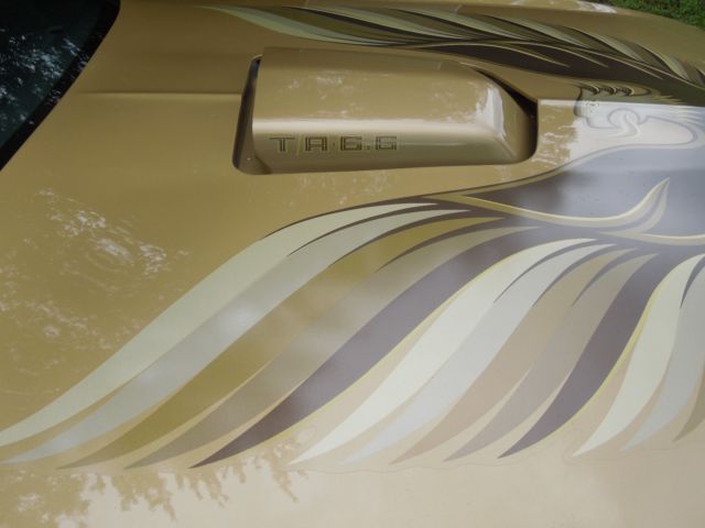 1978 Pontiac Trans Am - photo 6