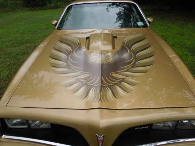 1978 Pontiac Trans Am - photo 7