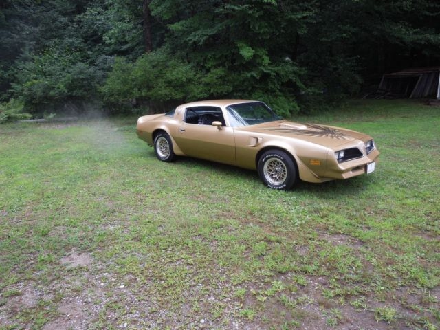 1978 Pontiac Trans Am - photo 8