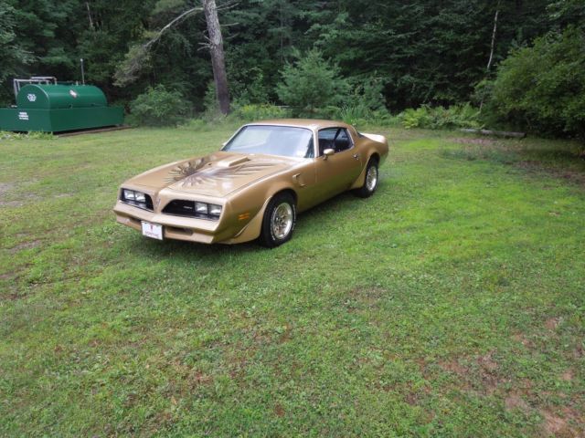 1978 Pontiac Trans Am - photo 9