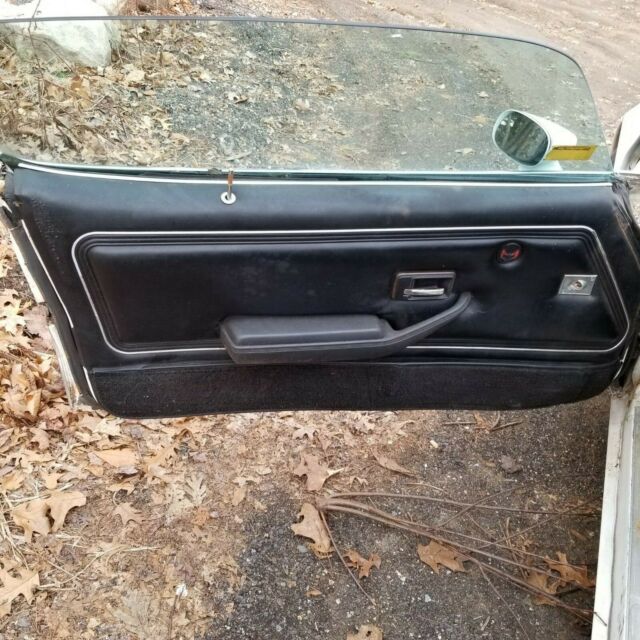 1978 Pontiac Trans Am - photo 11