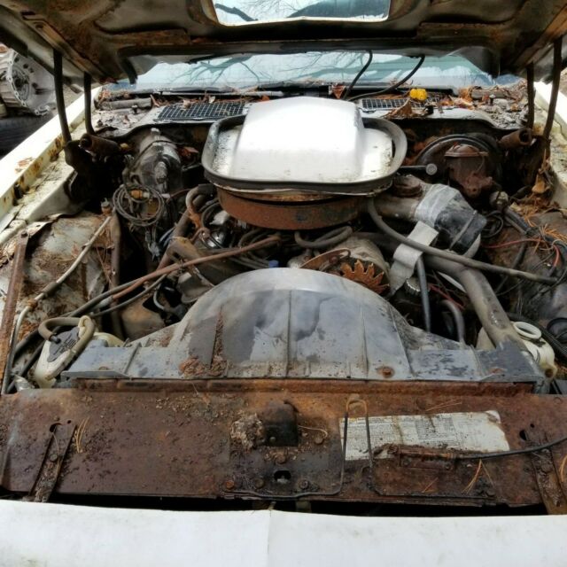 1978 Pontiac Trans Am - photo 12