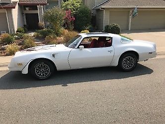 1978 Pontiac Trans Am Trans Am - photo 12